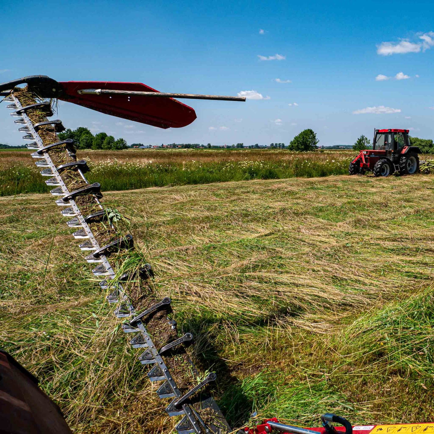 Frisches, duftendes Premium Kräuterheu aus natürlichem Anbau für Kleintiere