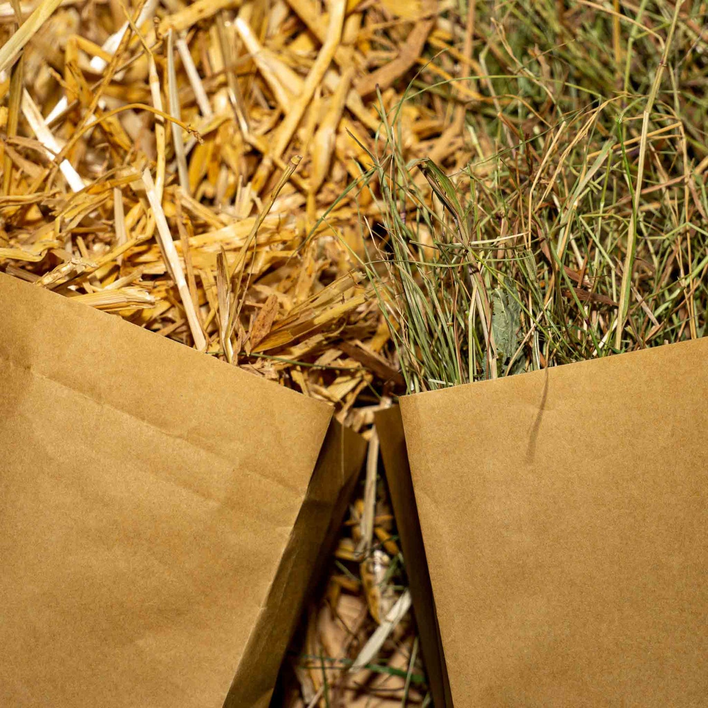 Heu und Stroh für Kleintiere in der Probepackung