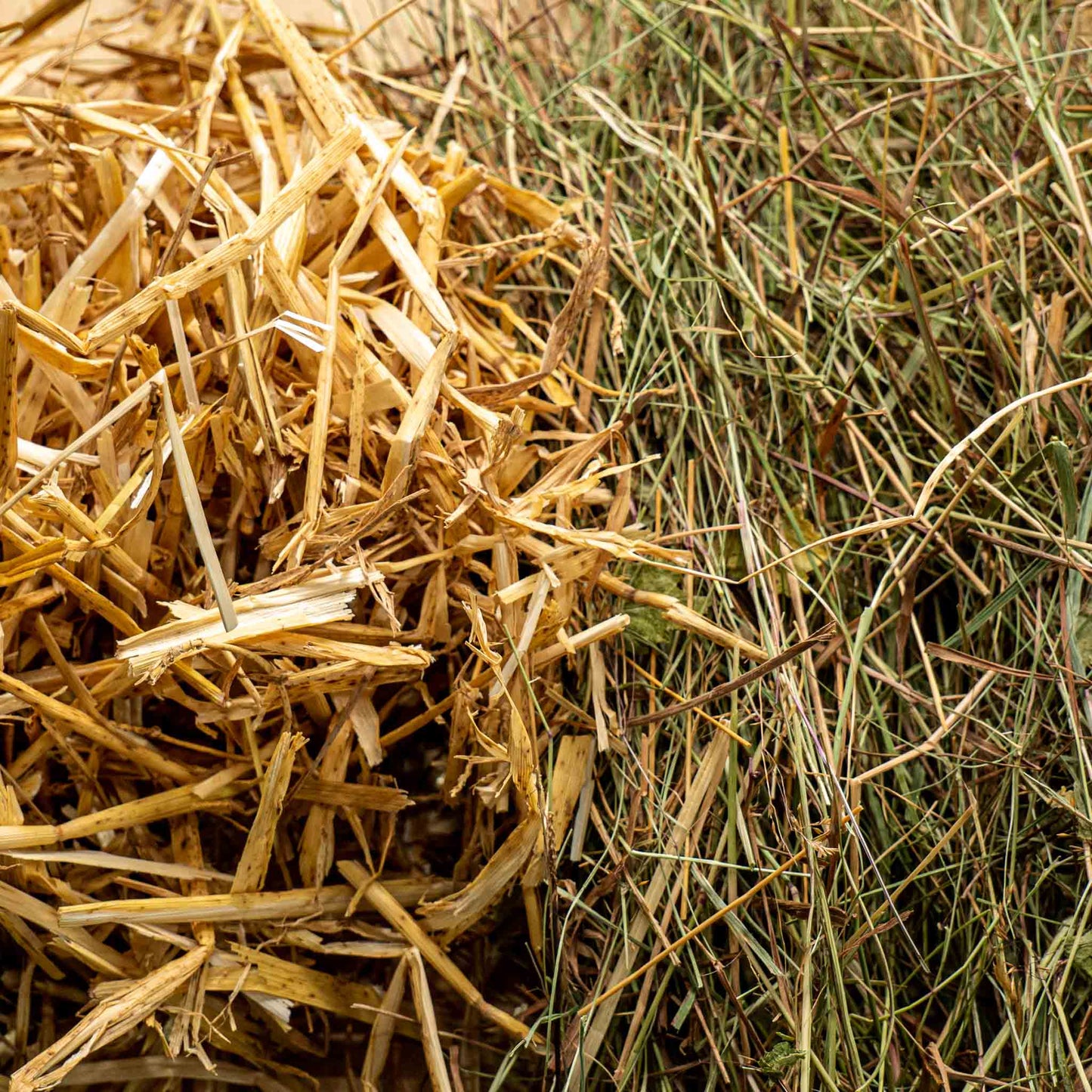 Kleintiereinstreu und Heu Basic für Nager, Kaninchen, Meerschweinchen