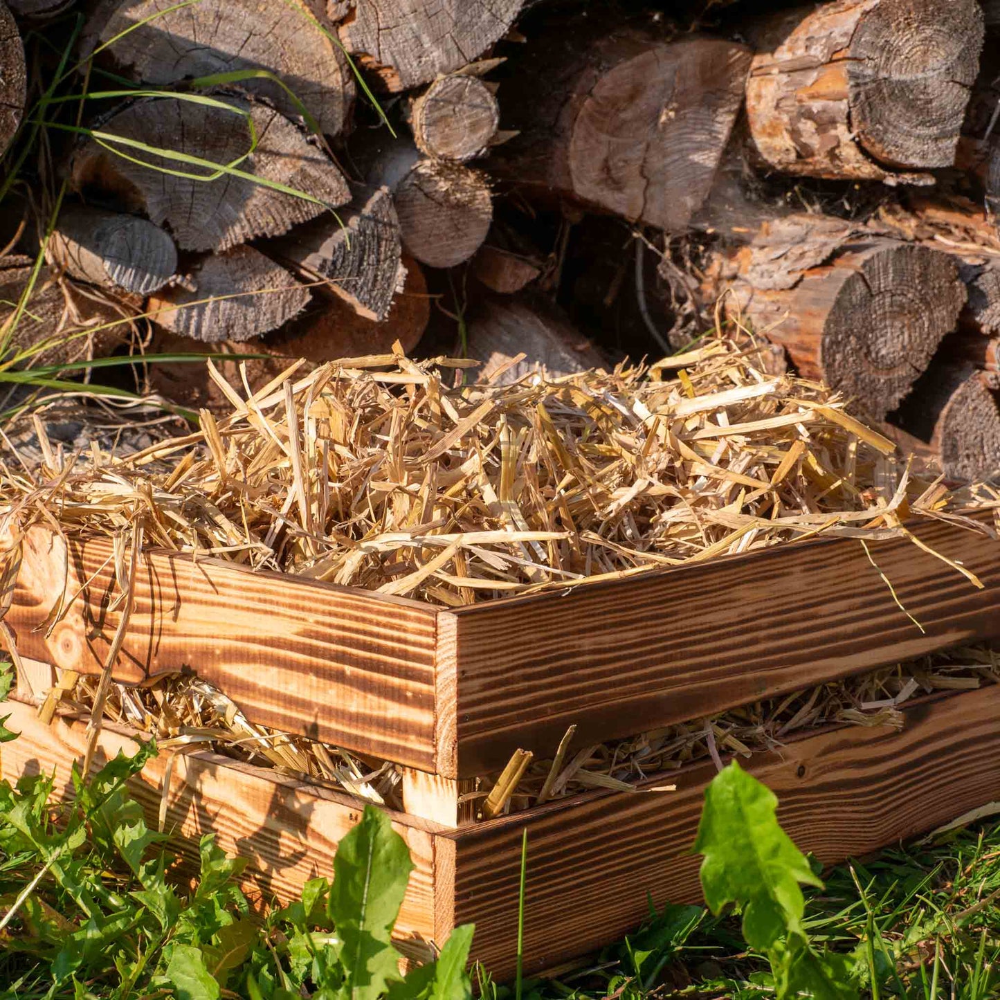 Strohbox als Einstreu für Kaninchen und Meerschweinchen