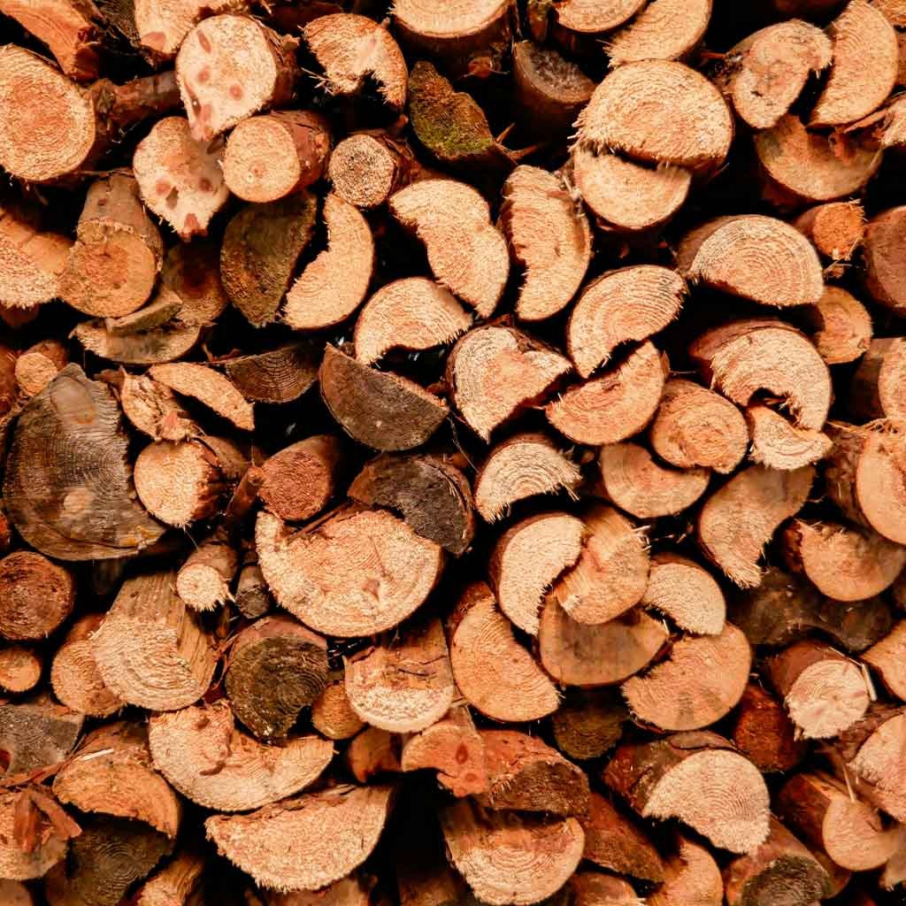 Brennholz & Anzündholz - WIESENGUT