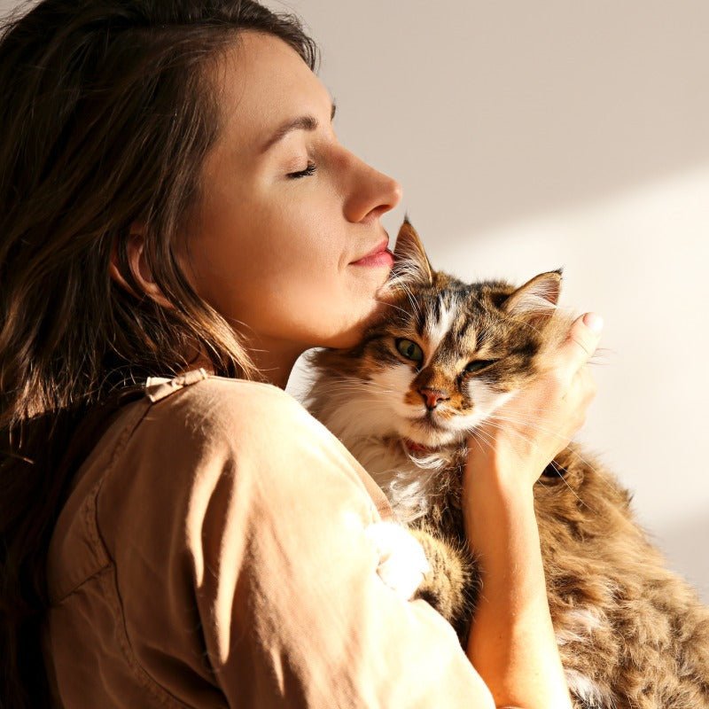 Unsere Produkte für deine Katze - WIESENGUT