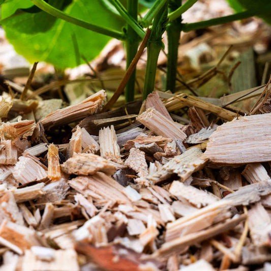 Holzhackschnitzel / Hackschnitzel / Gartenmulch