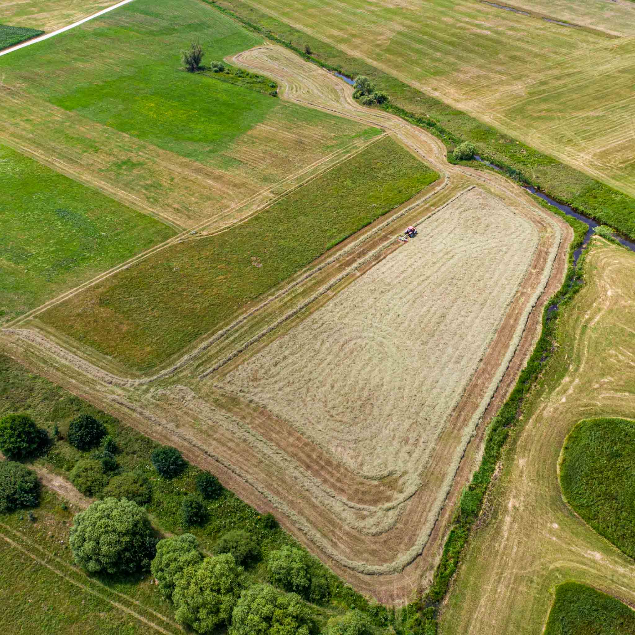 Fein strukturiertes Kräuterheu mit wertvollen Fasern und Kräutern für optimale Verdauung bei Kleintieren