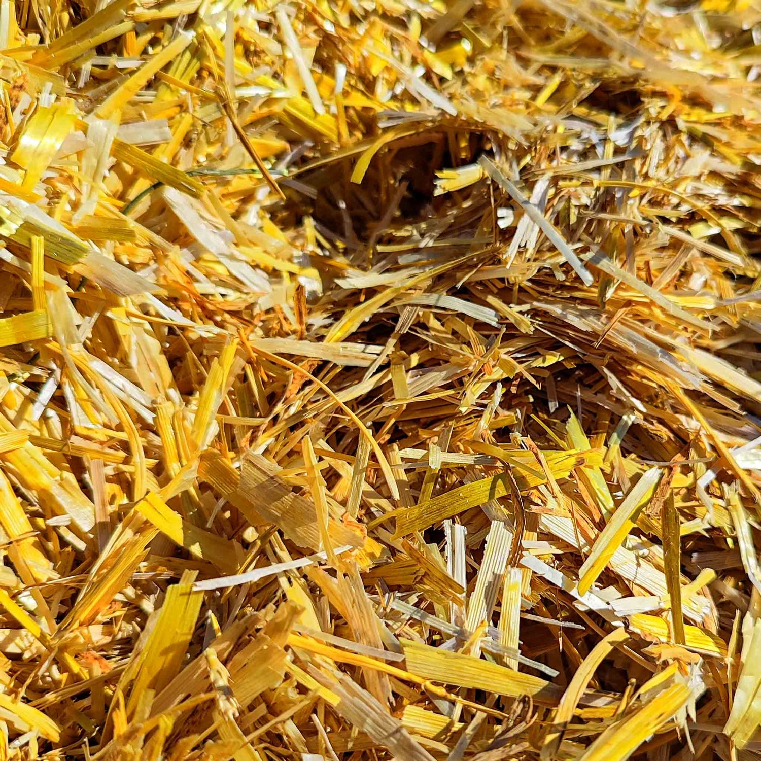 Strohmulch für den Garten, plastikfrei im Karton vom Hof